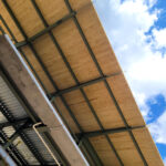 Lindsey Nelson v7 150x150